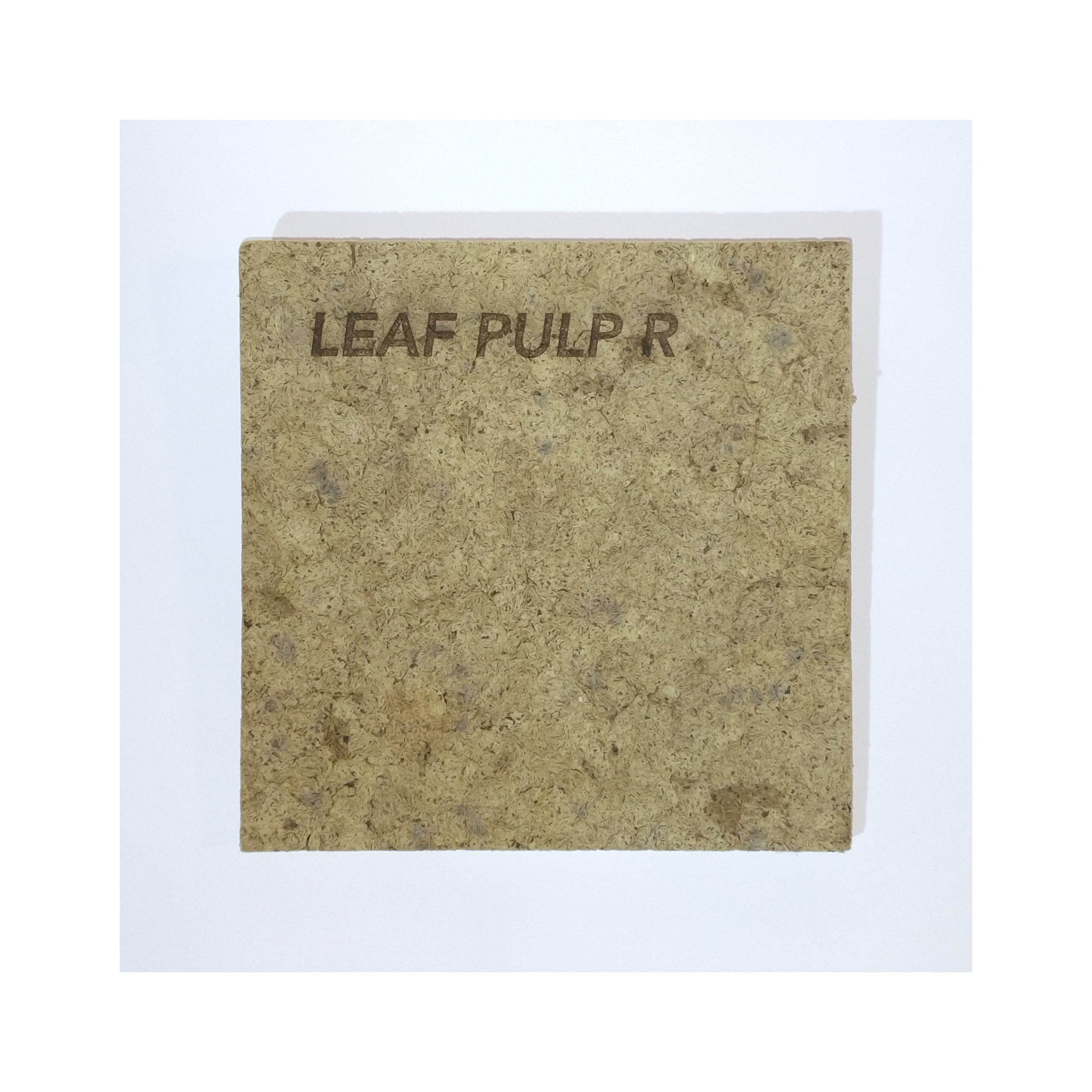 Leaf Pulp Image 2